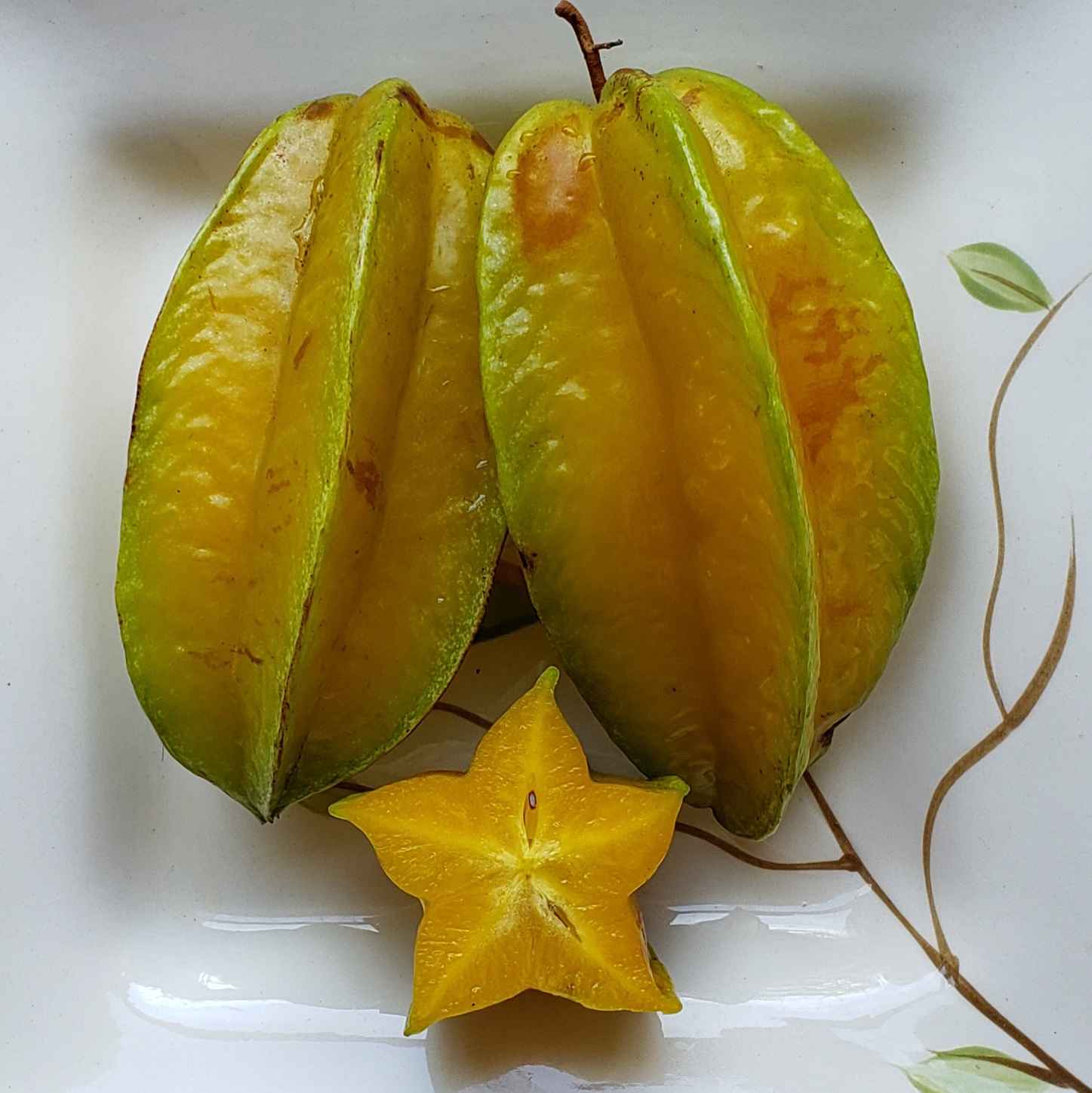 STAR FRUIT, CARAMBOLA (Averrhoa carambola) - variety: Sri Kembangan